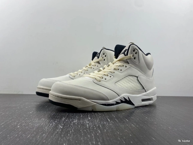 TBK Sail FN7405-100 5 SE Air Jordan 0711